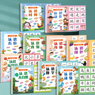 Quiet Book Traditional Chinese Characters Picture Book Literacy Card Enlightenment Reading Word Recognition Figure Learning Young Book Quantifier Early Education Teaching Aid Paste Children