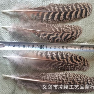 in stock DIY peacock feather home decorations peacock wings small feather jewelry raw materials manufacturers wholesale