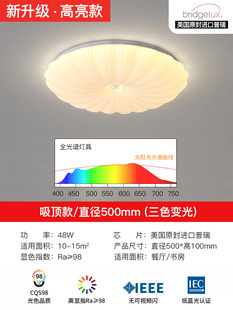 Full Spectrum Preh Chip Bedroom Lamp Simple Modern Lamps Internet Celebrity Aisle Lamp Balcony Master Bedroom Shell Ceiling Lamp