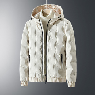 Grey Duck Down Jacket Men's Solid Color Winter Casual Middle-aged and Elderly Dad Warm Hooded Down Jacket Coat Men's Clothing