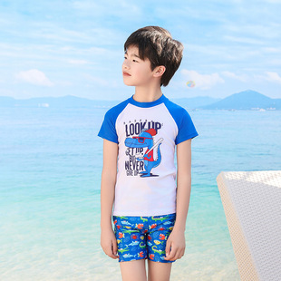 Children's Swimsuit New Split Summer Class A Quick-drying Sun Protection Cartoon Boys' Fashionable Middle and Big Kids Boys Training Swimsuit