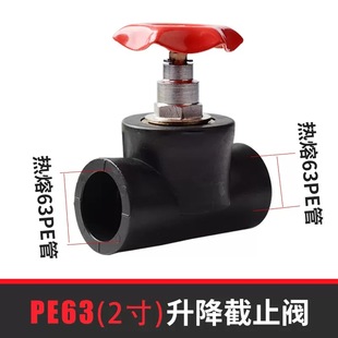 Золотой Рог Телец PE Трубы фитинги 4 минуты 6 минут 1 дюйм HDPE подъемный запорный клапан 63 фитинги клапанов