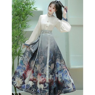 Осенне-зимняя новая женская юбка Hanfu в китайском стиле Hanfu, улучшенная супер-фея, старинный костюм Hanfu с принтом, размер в старинном стиле, осенне-зимний костюм Hanfu