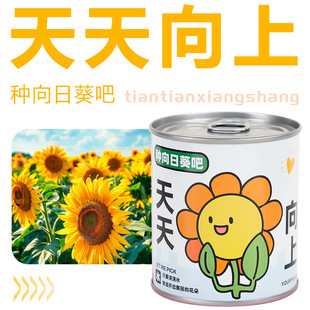 Children's Cans to Plant Small Potted Plants Indoor Desktop Mini Green Plants Easy to Raise Students to Observe Interesting Gifts