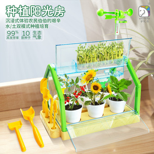 Обучение Youma Sunshine Room Детский костюм для посадки игрушки семена смотровое окно Начальная школа детский сад DIY Овощной горшок