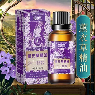 Салон красоты Специальное ароматическое эфирное масло 10ml полынь розы для тела Массаж по уходу за кожей Увлажняющая эссенция Оптовая Подлинная фабрика