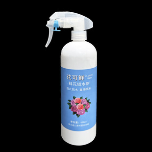 Holland Koli Fresh Preservative Extends Flowering Time Preservative Nutrient Solution Flower Shop Flower Supplies Wholesale