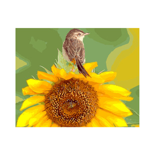 DIY digital oil painting factory wholesale flower series frameless combination box stretched good inner frame style many foreign trade generation