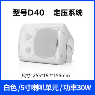 SAST/Xianke D40 public broadcasting speaker outdoor wall-mounted sound conference teaching family background music