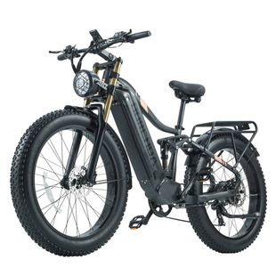Electric Bicycle Hc26 Dual Drive Snowmobile Electric Motorcycle Male Variable Speed Assist Heavy Duty Mountain Bike Cross Border D