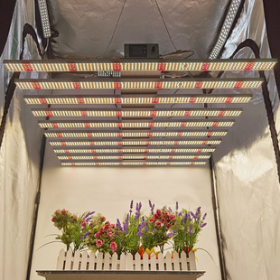 plant lamp light board light source board plant growth lamp octopus kit light board plant light greenhouse planting