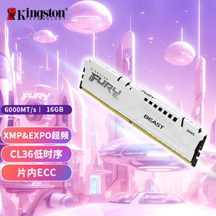 FURY 16GB DDR5 6400 Memory for Desktop Beast Ultra