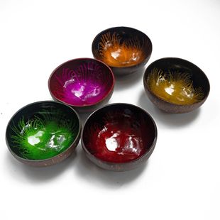 Vietnam hallway key sundries storage tray coconut shell printing painted coconut shell bowl home decoration storage salad bowl