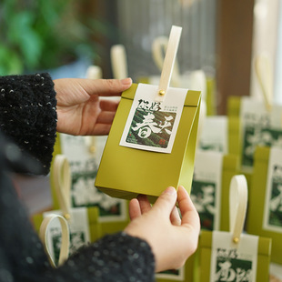 Чай Longjing перед Ming Packaging New Green Tea Новый китайский чайный пакетик Anji White Tea Maofeng Creative Tea Bags