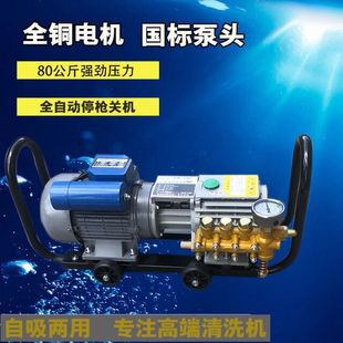 Black Cat QL-280 High Pressure Washer Car Washer Car Washer Pump Household Car Wash Water Gun Standard Edition Aluminum