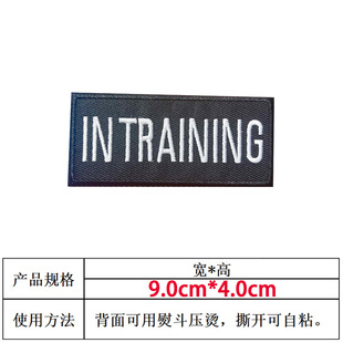 In stock tactical embroidery Velcro FUCK IT morale stamp outdoor bag with armband personality embroidered badge patch