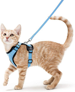Pet Products Cat Breathable Chest Strap Reflective Anti-break Free Walking Cat Leash Cat Leash Small Dog Chest Strap