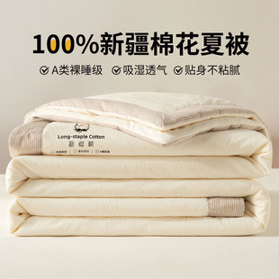 Class A Xinjiang Cotton Summer Quilt Air-conditioning Quilt Summer Cool Quilt Pure Cotton Quilt Core Spring and Autumn Quilt Machine Washable