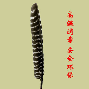 Turkey feather feather nest feather arrow feather turkey feather DIY handmade arrow accessories 20-35cm