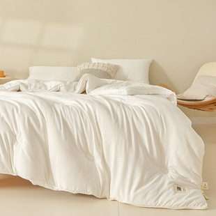 Class A cotton jacquard three-dimensional soybean quilt fiber quilt cotton spring and autumn quilt thickened winter quilt warm quilt core quilt