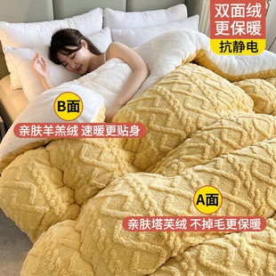 Winter lamb velvet quilt winter quilt single thick warm 10kg winter milk velvet quilt spring and autumn quilt core dormitory