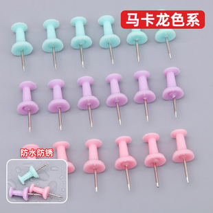 Cartridge Morandi color I-shaped nails metal stainless steel painting pins 80 pieces of cork board pins cross-border wholesale
