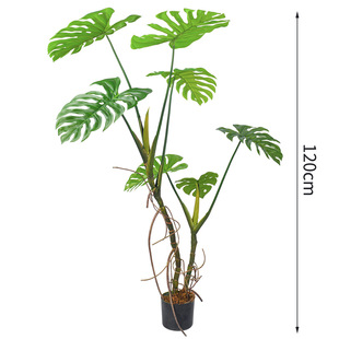 Cross-border Hot-selling Simulation Green Plant Tortoise Bamboo Living Room Office Indoor Plants Potted Ornaments Floor Decorative Plants