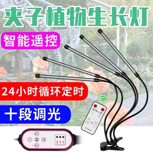 Qianrun Lighting светодиодный светильник для выращивания растений в помещении мясистое наполнение светло-зеленое растение цветок растение лампа кронштейн зажим USB