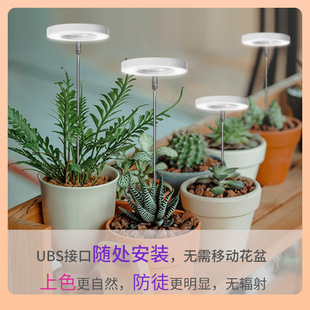 ✅ USB Angel Ring Plant Light Timing Dimming Height Telescopic Full Spectrum Succulent Flower Green Plant Growth