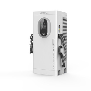 Anfu New Energy DC 60kw/80kw/120kw Fast Charging Pile Electric Vehicle High Power Charging Station