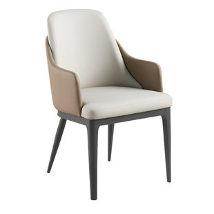 Dining Chair, Home Dining Table, Backrest, Accessible Luxury Curved Rental Room, Italian Iron Simple Dressing Chair for Restaurant