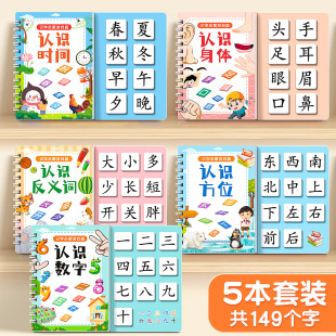 Literacy Book Children's Recognition Enlightenment Early Education Quiet Book Children's Literacy Card Full Set Kindergarten Baby Cognition