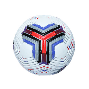 Factory supply secondary school primary school adult training football No.5 No.4 machine sewing PVC black and white grid World Cup Europe