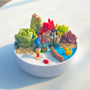 Succulent Package Includes Indoor Potted Plant Combination Succulent Cactus DIY Office Small Green Plant with Pot Soil