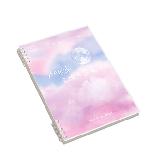 Loose-leaf notebook B5 notebook detachable high-value student notebook a5 grid diary