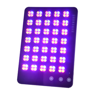 Cross-border Large Row Light Beauty Instrument Whole Body Face Anti-acne Whitening Light Skin Tender Household Red and Blue Light Universal