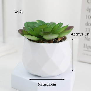 Ming Ge Simulation Small Barrel Fleshy Green Plant Plastic Fake Flower Decorative Simple Mini Bonsai Small Bonsai Explosions