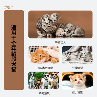 KIMHOME перчатки без стирки для домашних животных одноразовые принадлежности для ванны для домашних животных оптом чистые влажные перчатки без стирки SPA