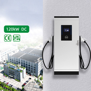 Европейский стандарт 120kw двойной пистолет DC зарядная куча быстрая новая энергия зарядная куча электромобиля Type2 трансграничный OCPP