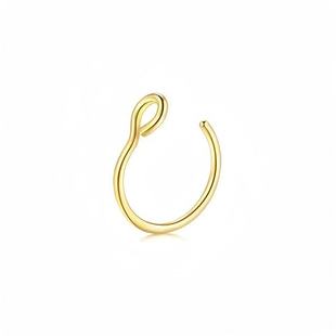 in stock European and American explosions titanium steel in stock perforated nose nail high quality multi-color lip nose ring thorn jewelry manufacturers wholesale