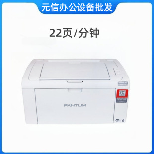 PANTUM P2506/2506W A4 Black and White Laser Wireless Home Printer