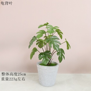 Simulation potted turtle back living room home decoration green plant ornaments bonsai plant small potted plants