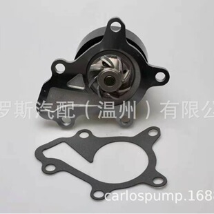 Carlos car water pump 1610049A05