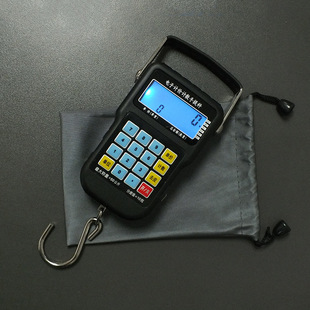 Multifunctional price scale portable electronic scale with engraved ruler hanging scale small spring scale mini Hook scale