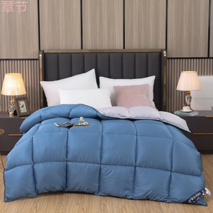 New Down Quilt Spring and Autumn Quilt Core Winter Quilt Thickened Warm Single Double Student Quilt Winter Quilt