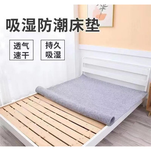 Moisture-proof Mattress for Student Dormitory Special Moisture-absorbing Mattress Thickened Mildew-proof Dry Quilt Single-person Tatami Mat