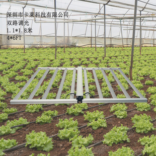 Cross-border two-way dimming 1100W octopus plant lamp, indoor greenhouse vegetable supplement lamp 1.8 meters