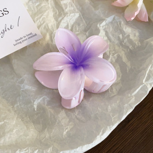 Egg Flower Clip Flower Hair Clip 2024 New Style Temperament Summer Hair Shark Clip Back Head Clip Hair Accessories for Women