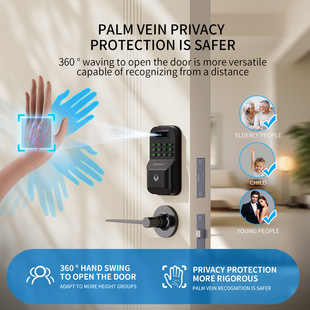 Graffiti WIFI Full Automatic Palm Vein Dock Lock Office Apartment Indoor Camera Key Password Smart Lock