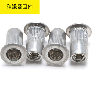 Factory direct pull rivet nut flat vertical rivet nut small countersunk rivet nut half hexagon rivet nut